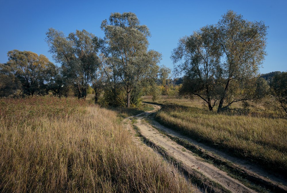 Photograph by Родичев Игорь Леонидович