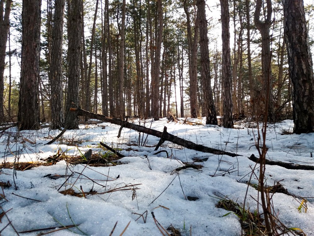 Photograph by Артем Попов