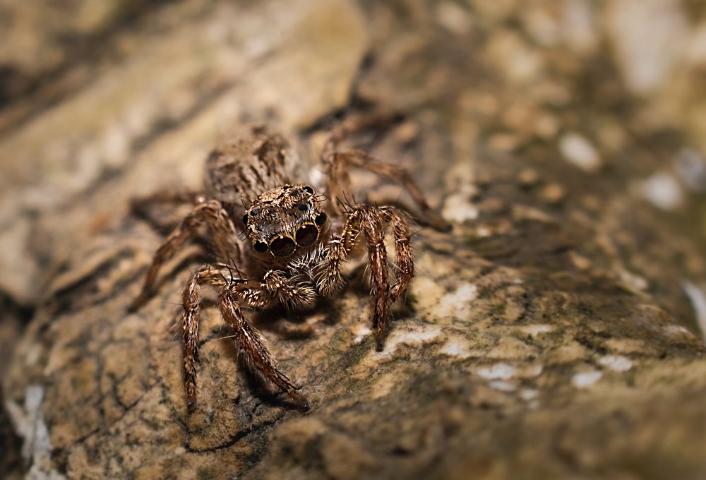 Photograph by Lê Trung Phùng