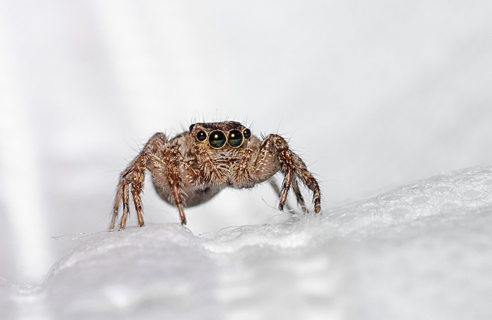 Photograph by Lê Trung Phùng