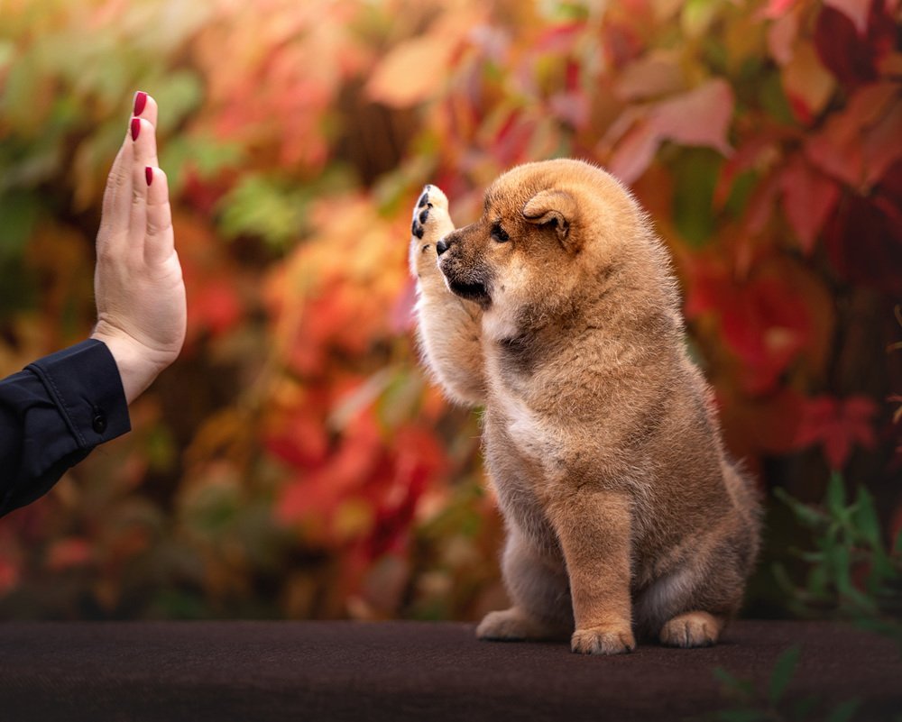 Photograph by Оксана Серова