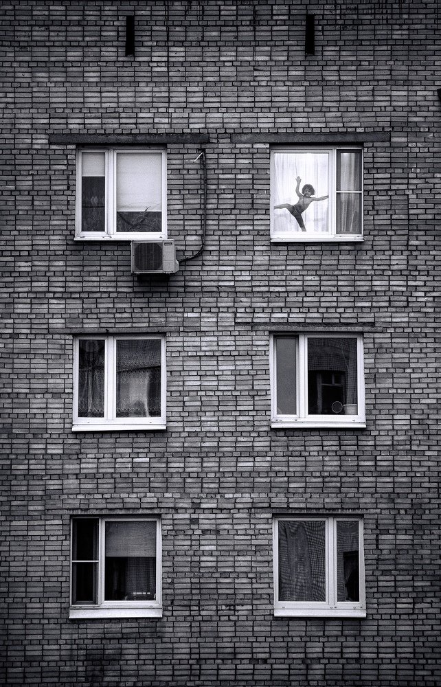 Маугли каменных джунглей