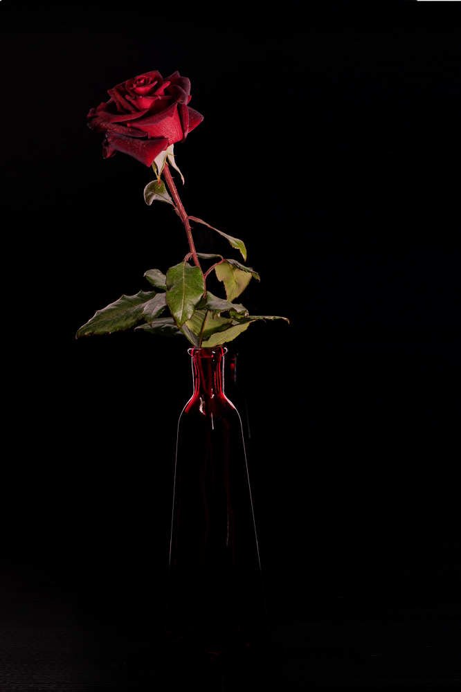 Фотография автора Олег Петреев