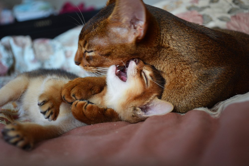 Photograph by Анастасия Жук