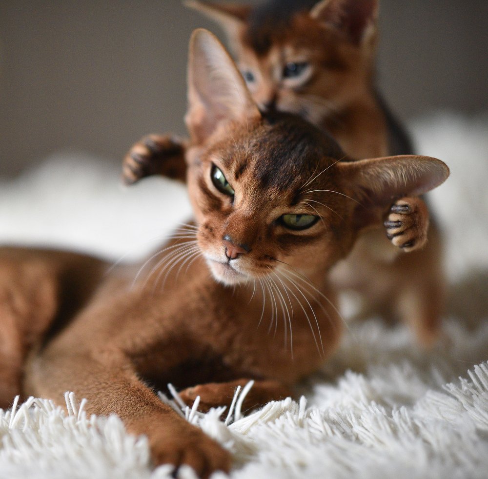 Photograph by Анастасия Жук