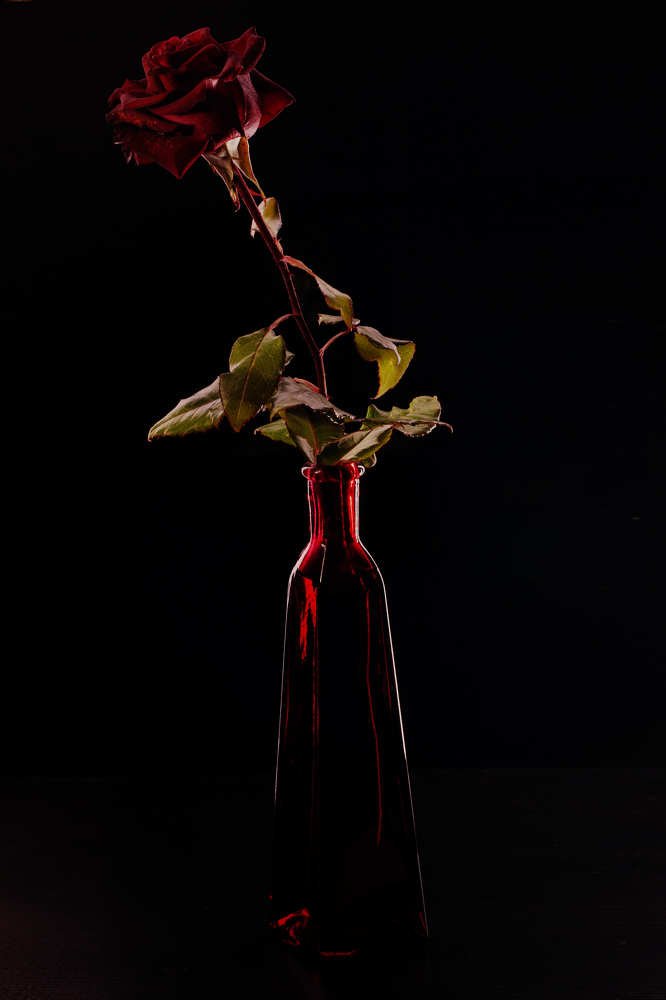 Фотография автора Олег Петреев