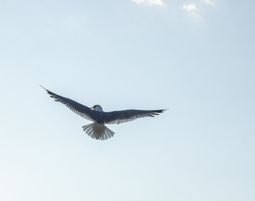 Photograph by Владислав Калюкин