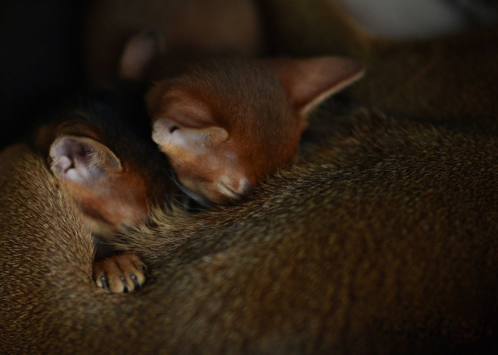 Photograph by Анастасия Жук