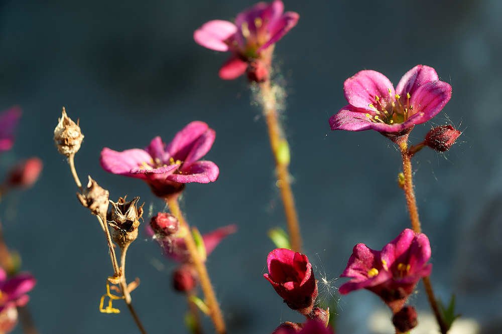 Фотография автора Олег Петреев