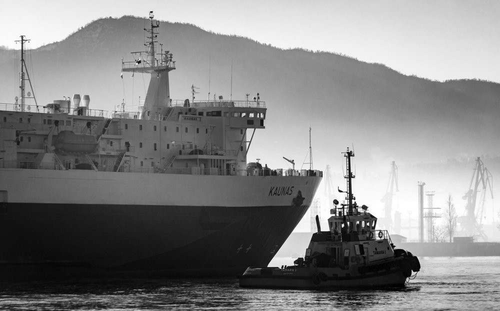 Photograph by Александр Антонов