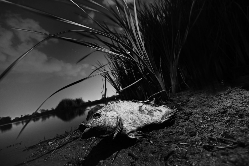 Photograph by Daniel Díaz