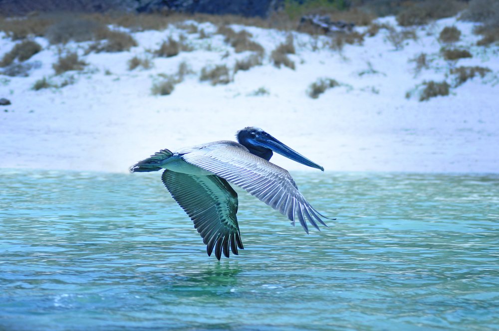 Photograph by Daniel Díaz