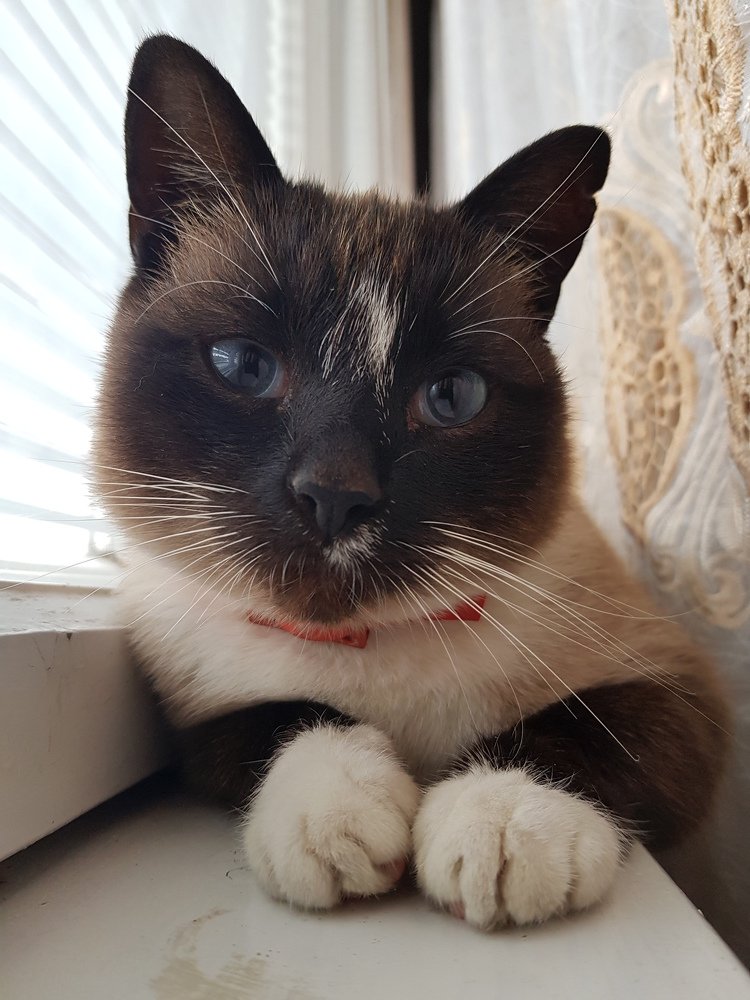 Photograph by Iгор Ситар