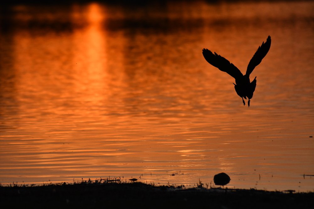 Photograph by Daniel Díaz