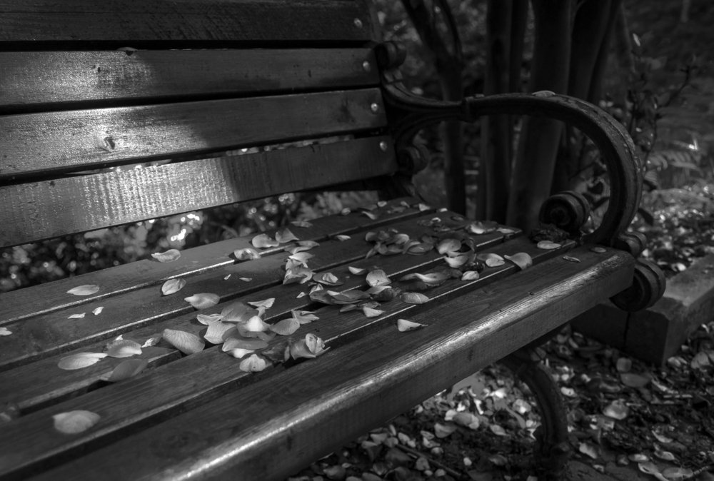 Photograph by Александр Антонов