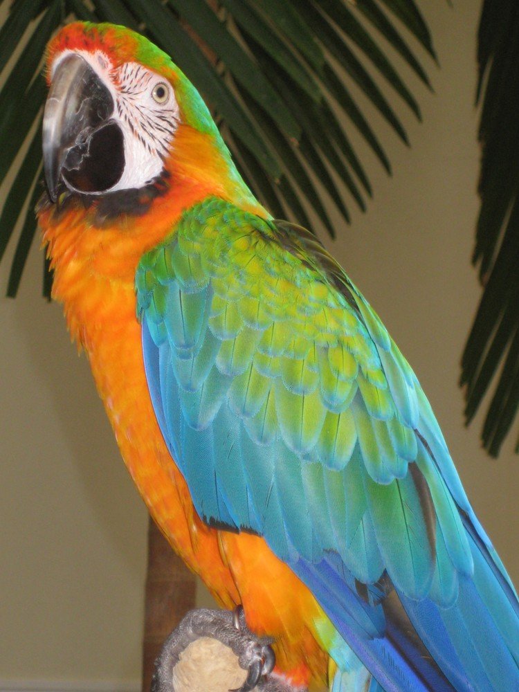 Photo #5015057