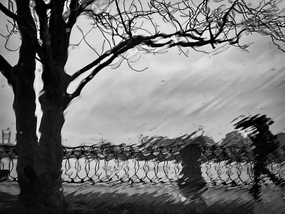 Фотография автора Sergey Sokolovsky