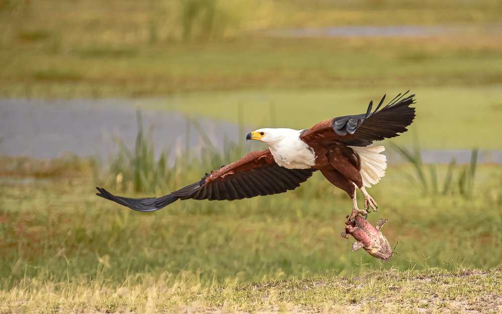 Photograph by Rishad