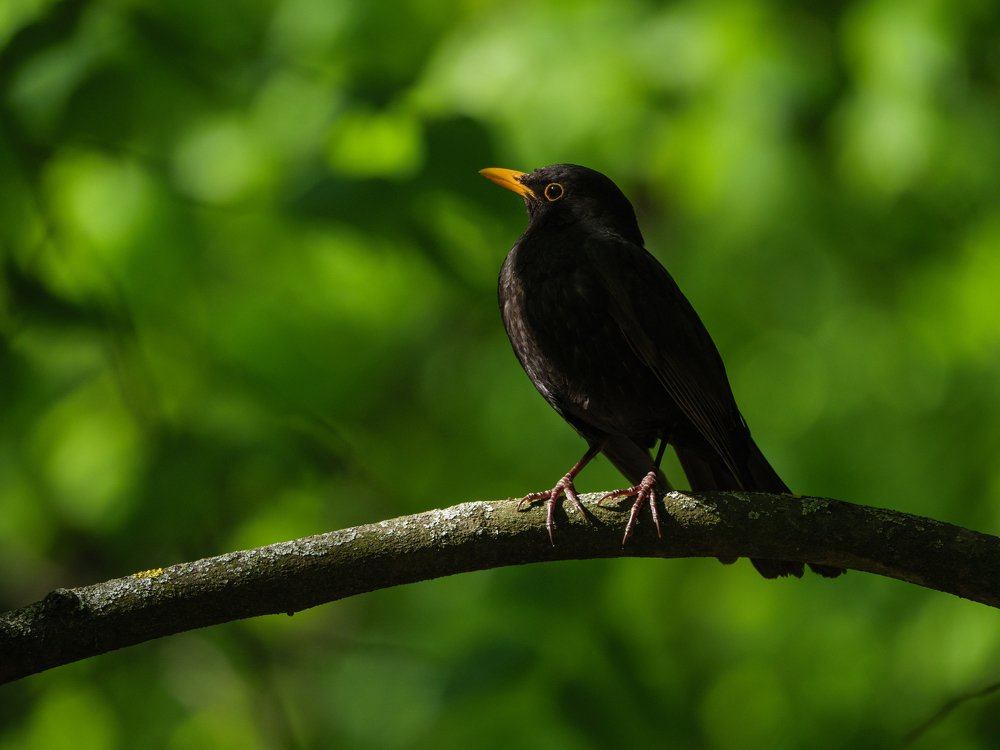 Photograph by Jaroslav Vyhnicka