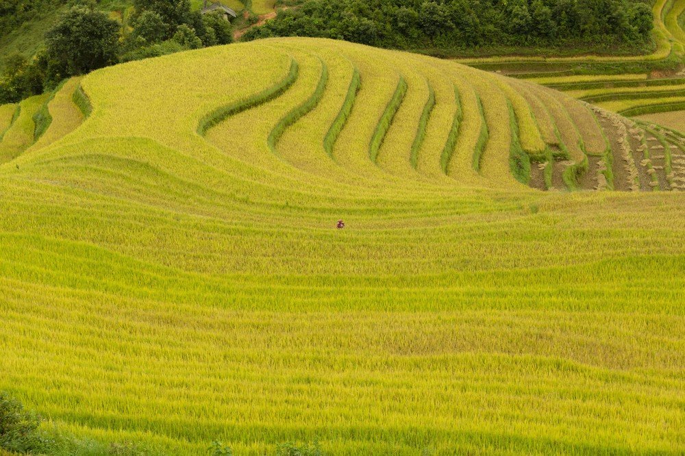 Photograph by Tuan Tran