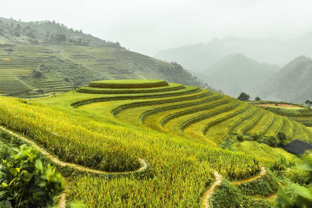 Photograph by Tuan Tran