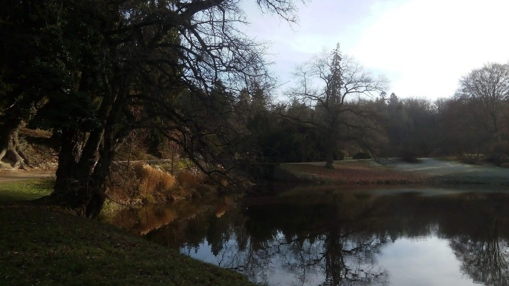 Photograph by Ирина Пшеничникова