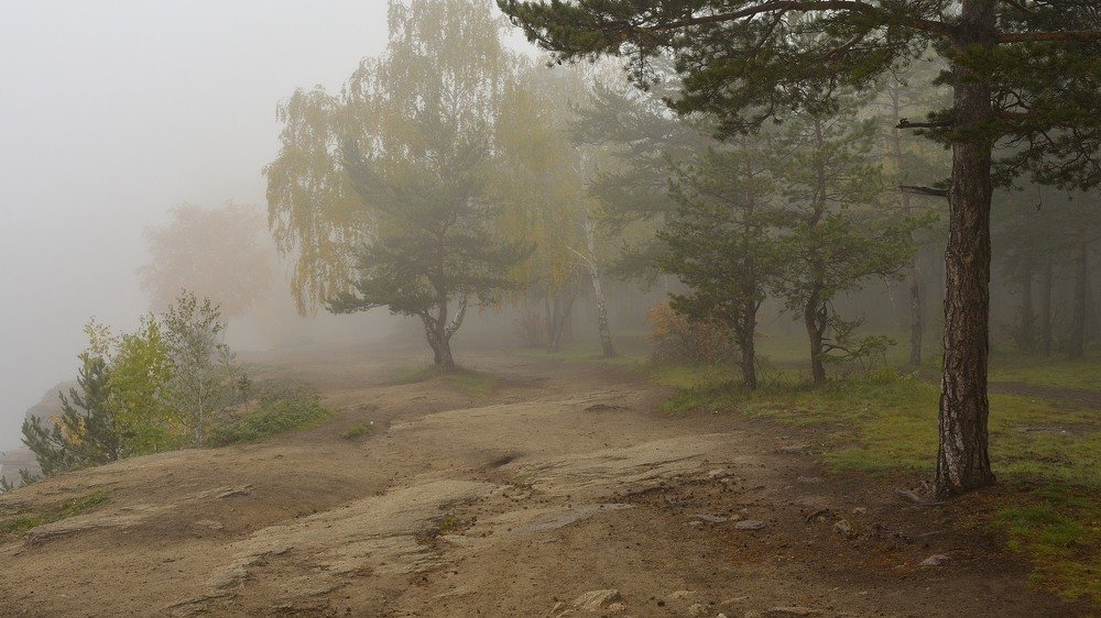 Photograph by Павел Фёдоров