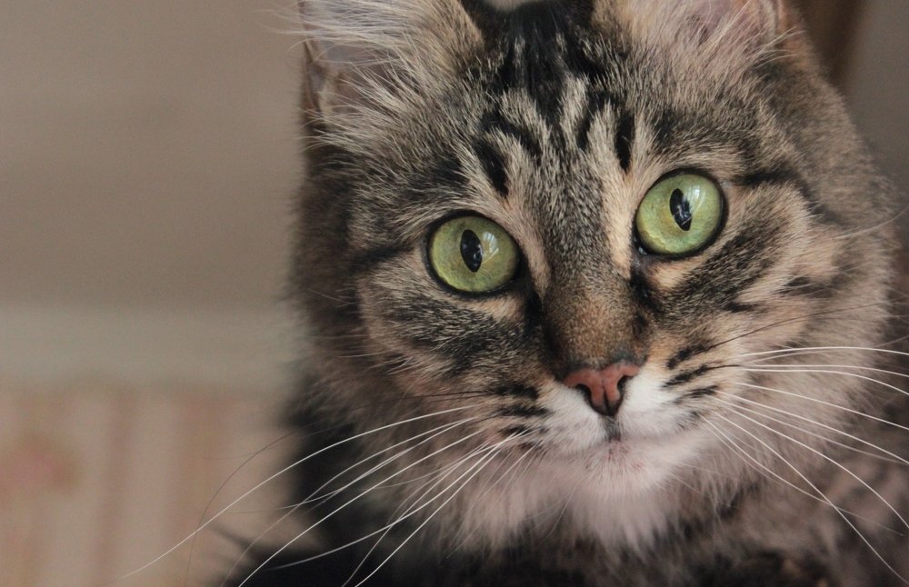 Фотография автора Владислава Андрюнина