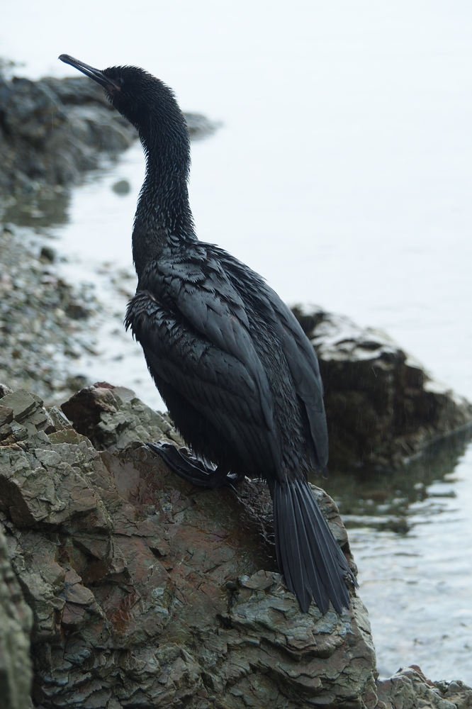 Photograph by Анна Тиунова