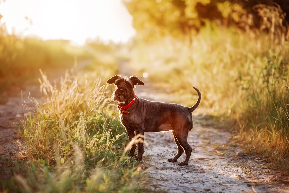 Photograph by Ольга Додонова