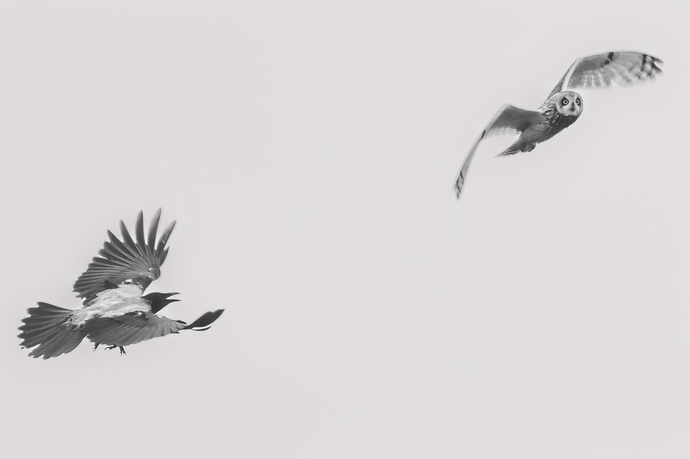 Воздушный бой