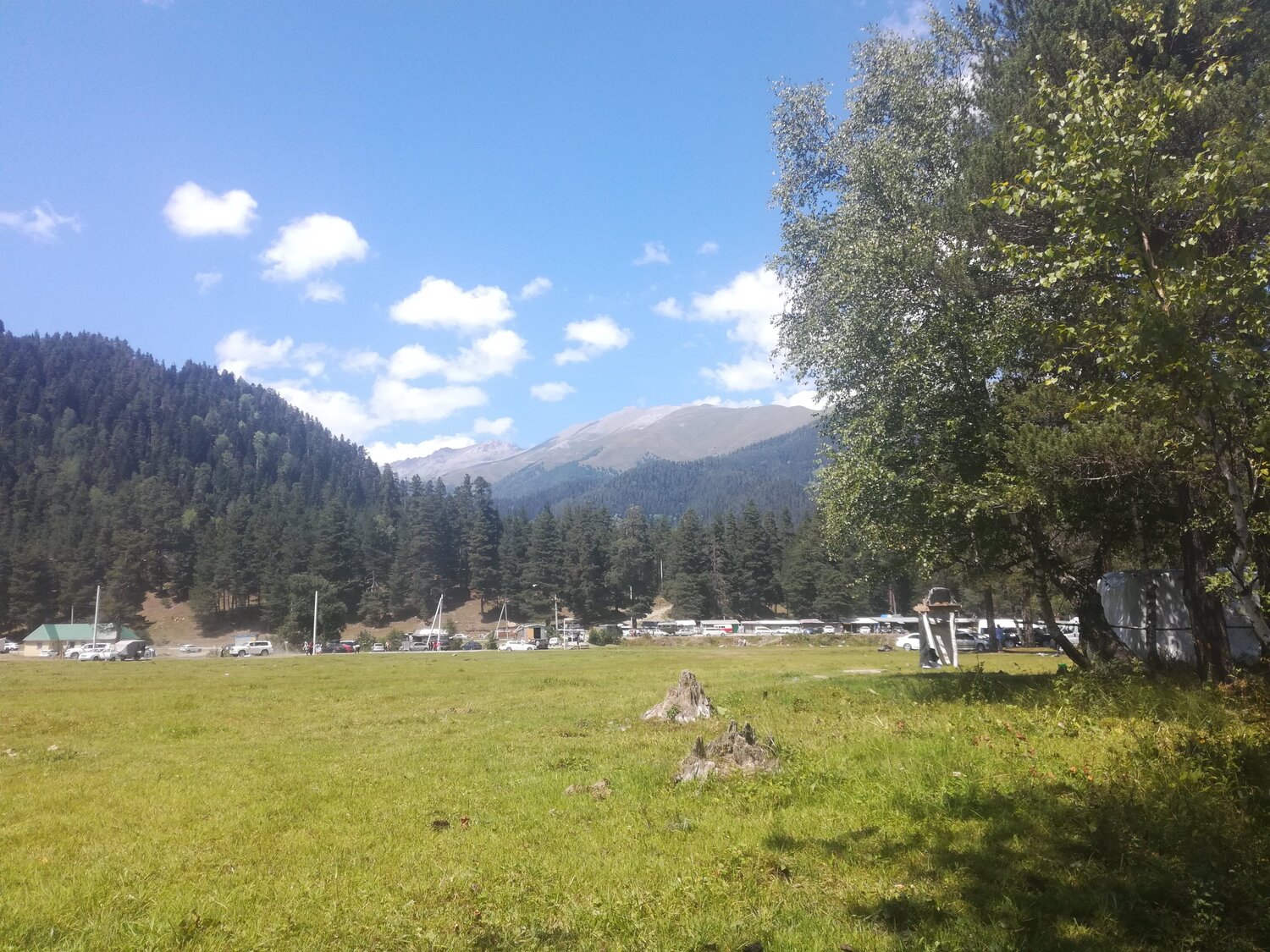 Photo #5015366