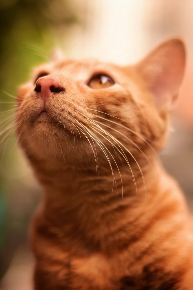 Photograph by Sudhanshu Banotiya