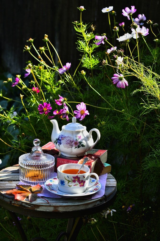 Morning tea in the garden