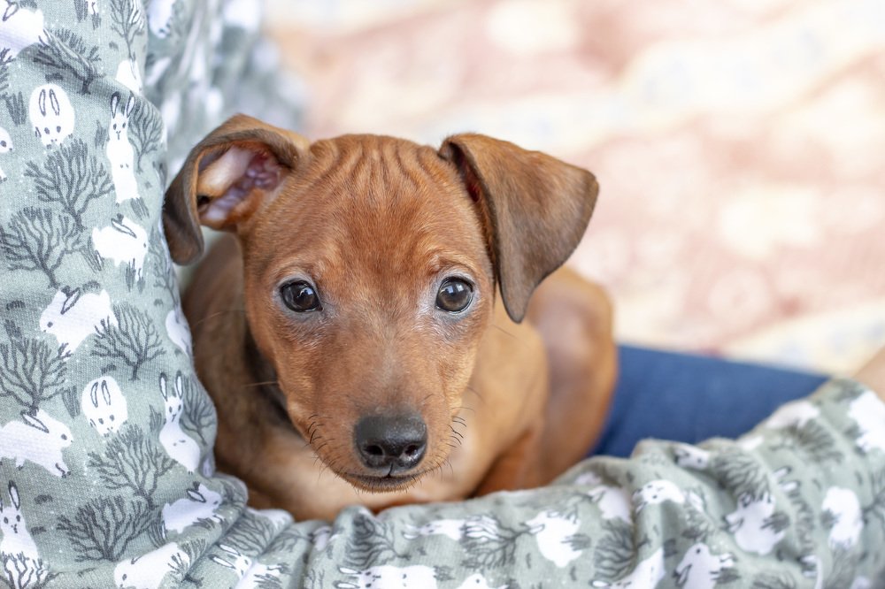 Photograph by Сергей Кочетов