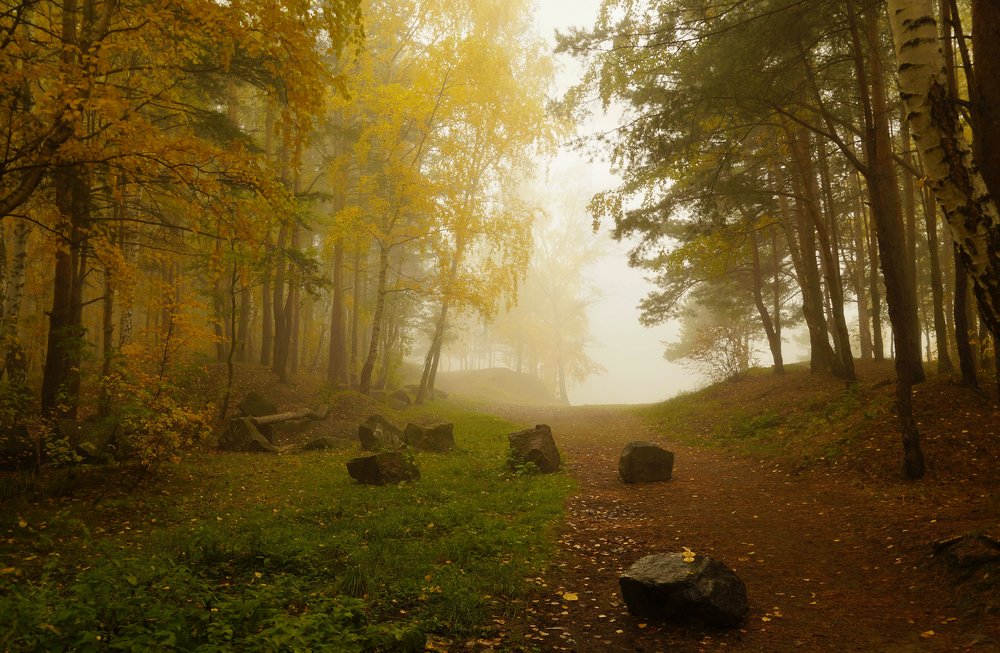 Photograph by Инаида