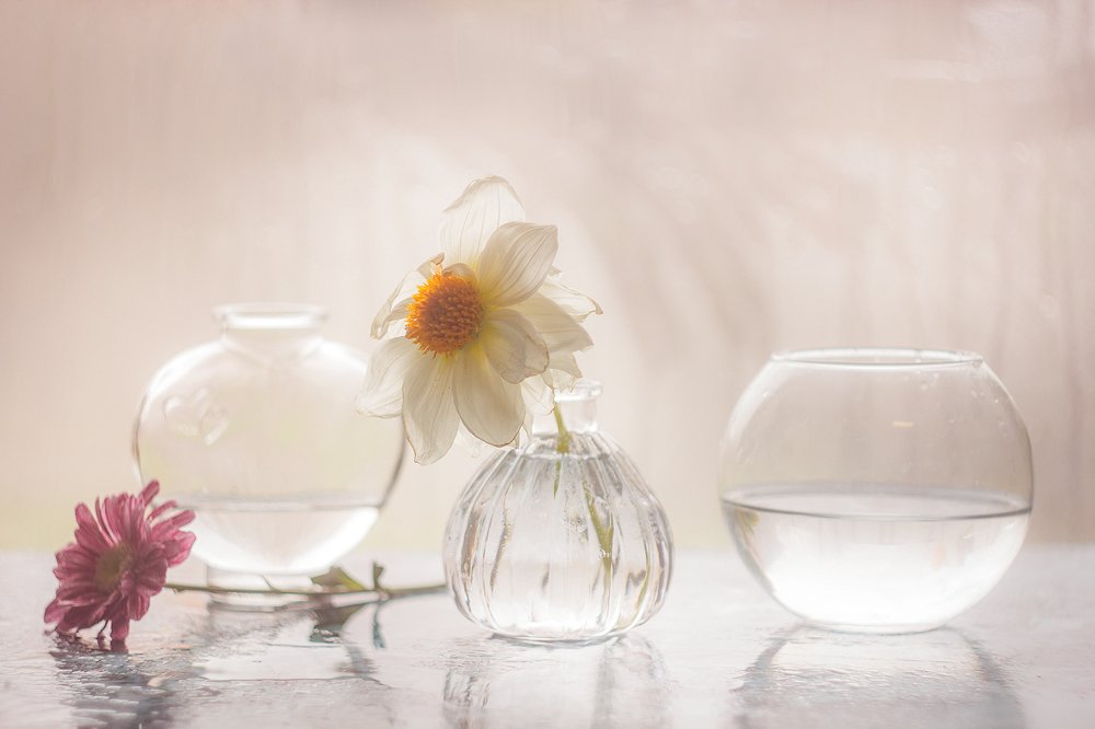 Photograph by Ольга Сидорова