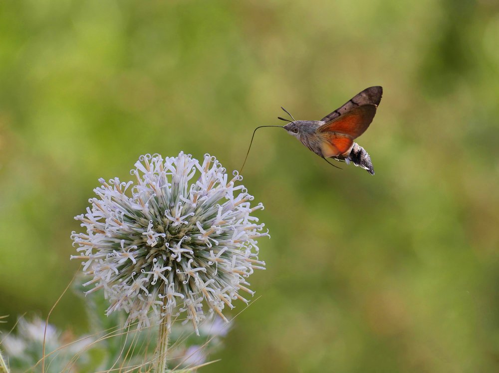 Photograph by ali bakhshi