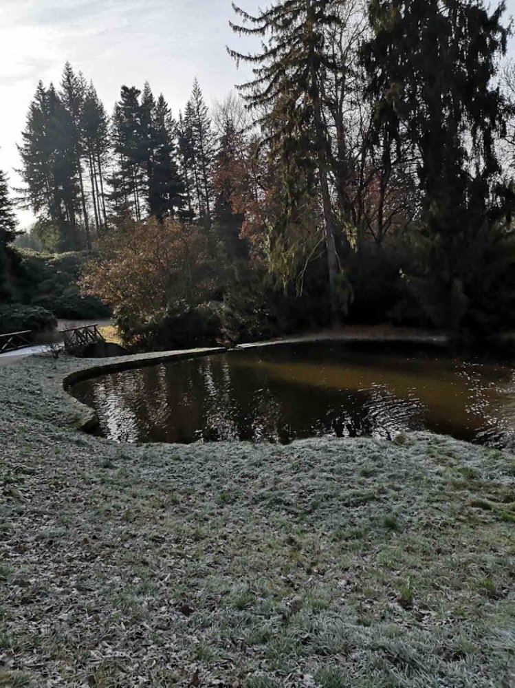 Photograph by Ирина Пшеничникова