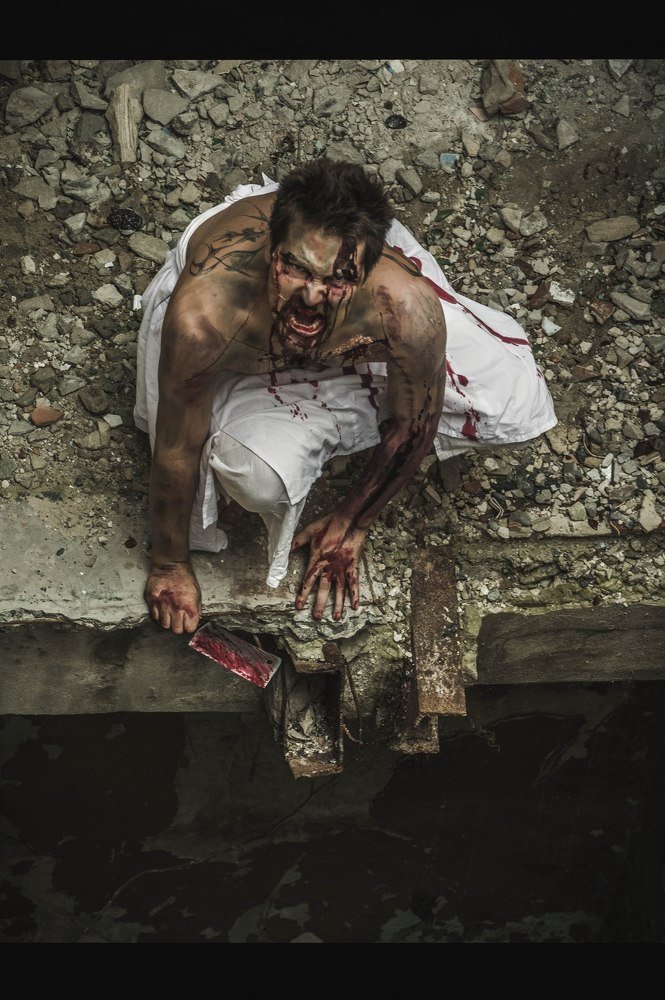 Фотография автора Екатерина Васильева