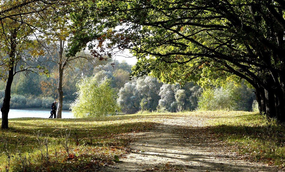 над р.Десной