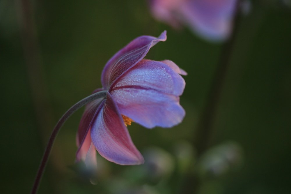 Photograph by Ирина Терешина