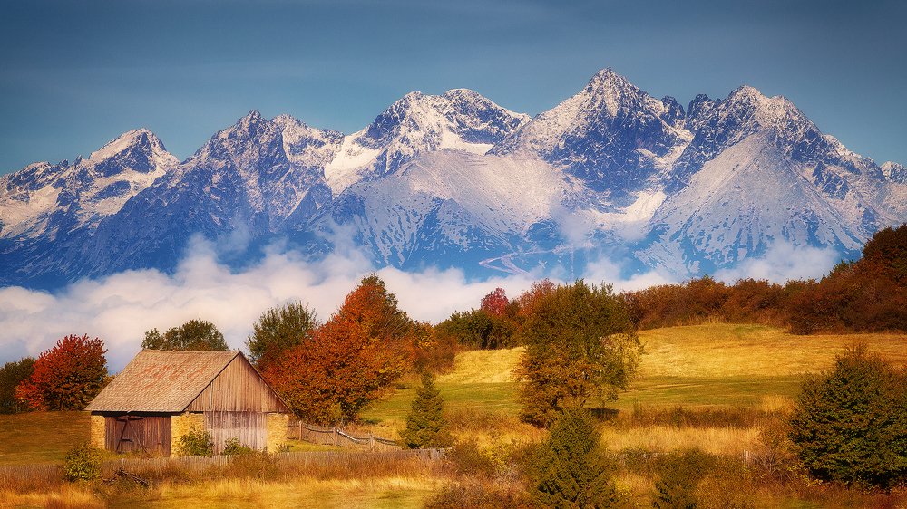 Photograph by Martin Kucera