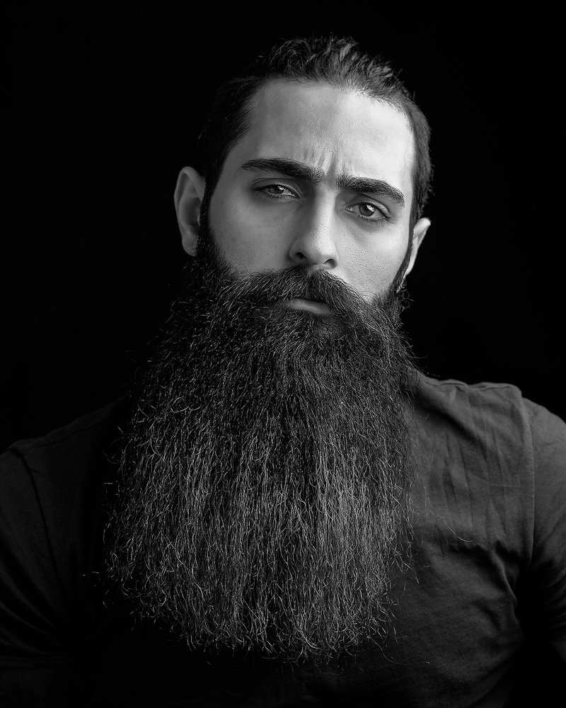 Photograph by Alireza Irajinia