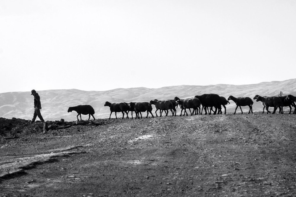 Photograph by javad parast