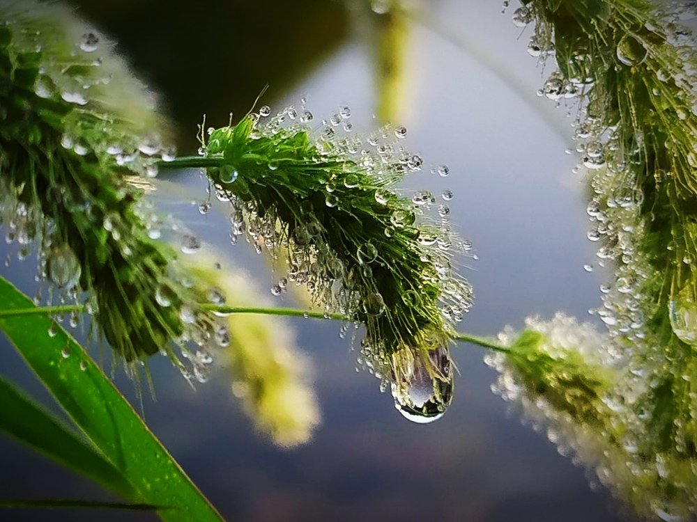Photograph by Елена Павлова