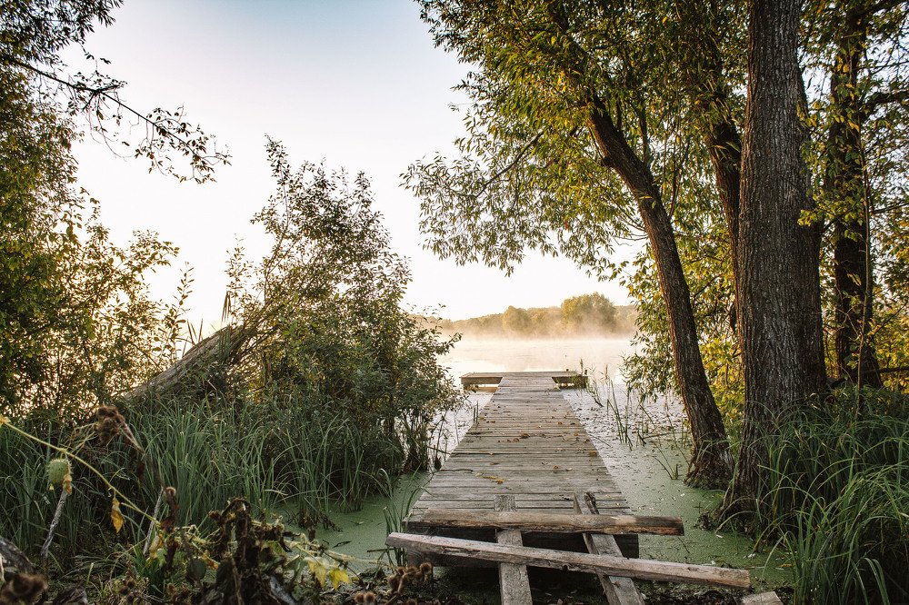 Photograph by Елена609714