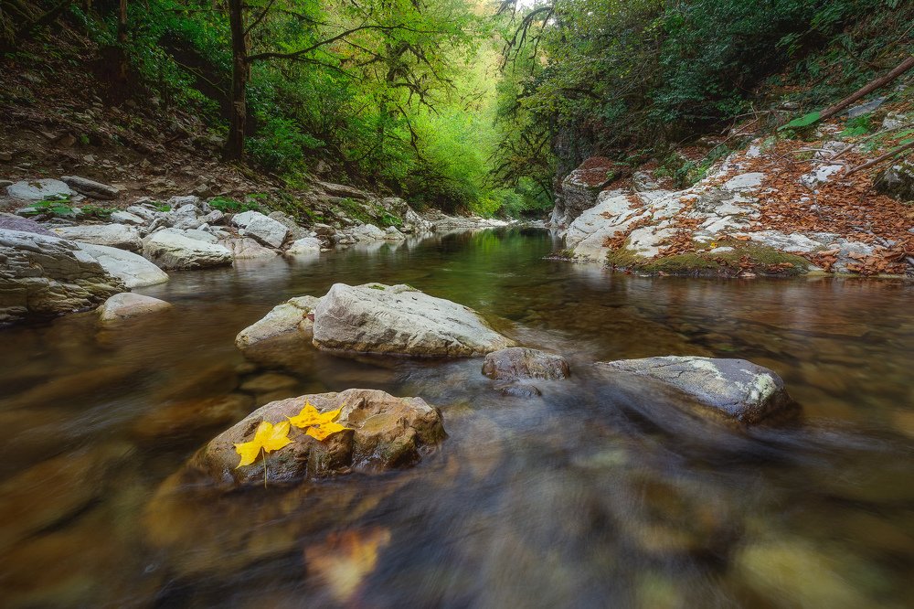 Photograph by Сергей Шабанов