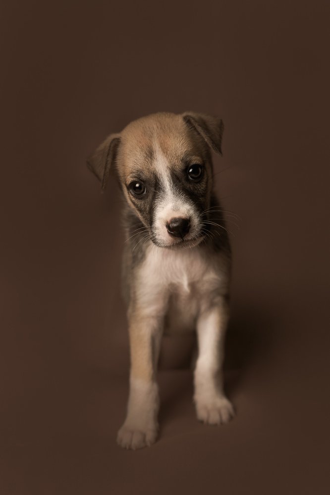 Photograph by Ricardo Guzmán