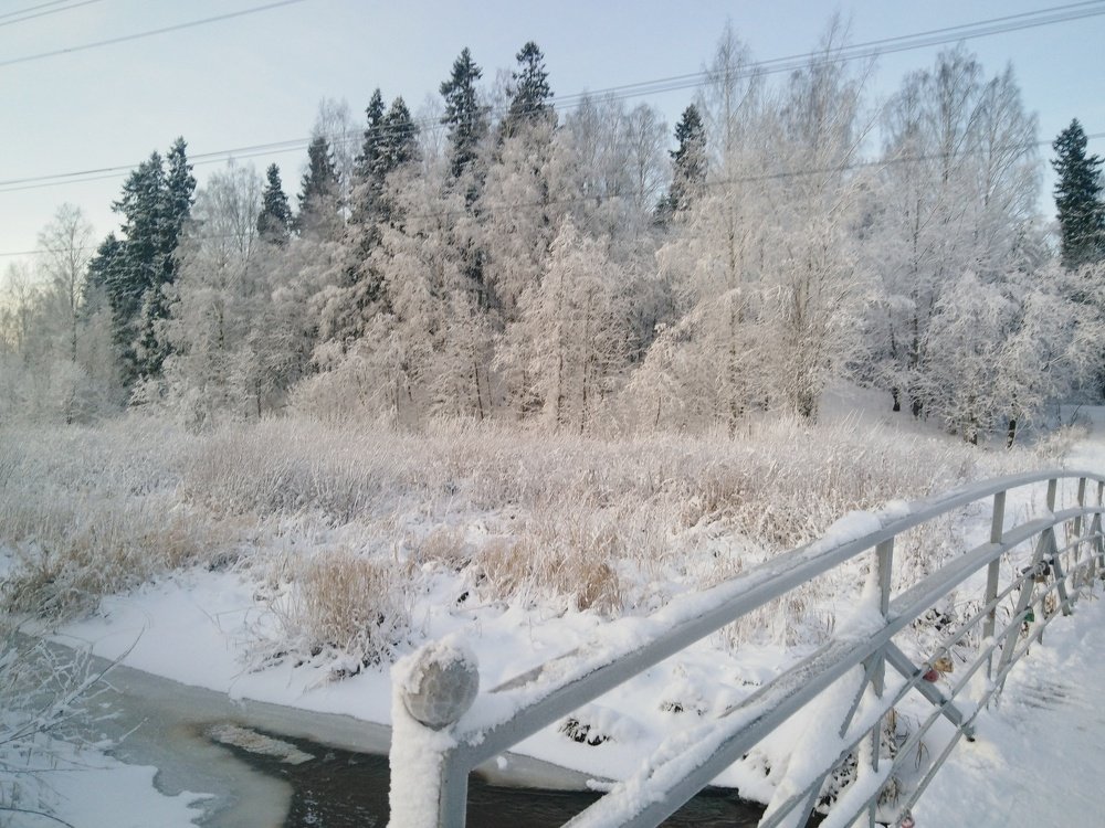 Photo #5015902
